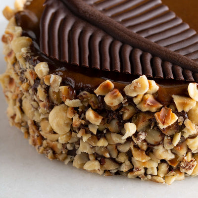 Hazelnut Praline Mousse Cake Hazelnut Praline Mousse Cake