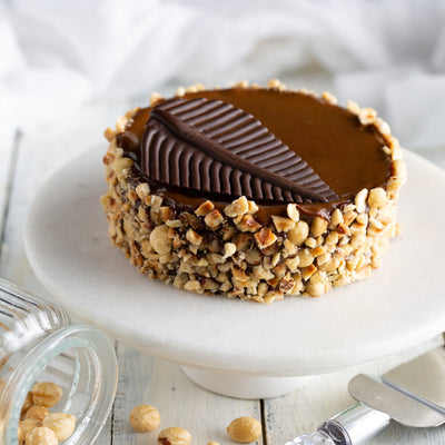 Hazelnut Praline Mousse Cake Hazelnut Praline Mousse Cake