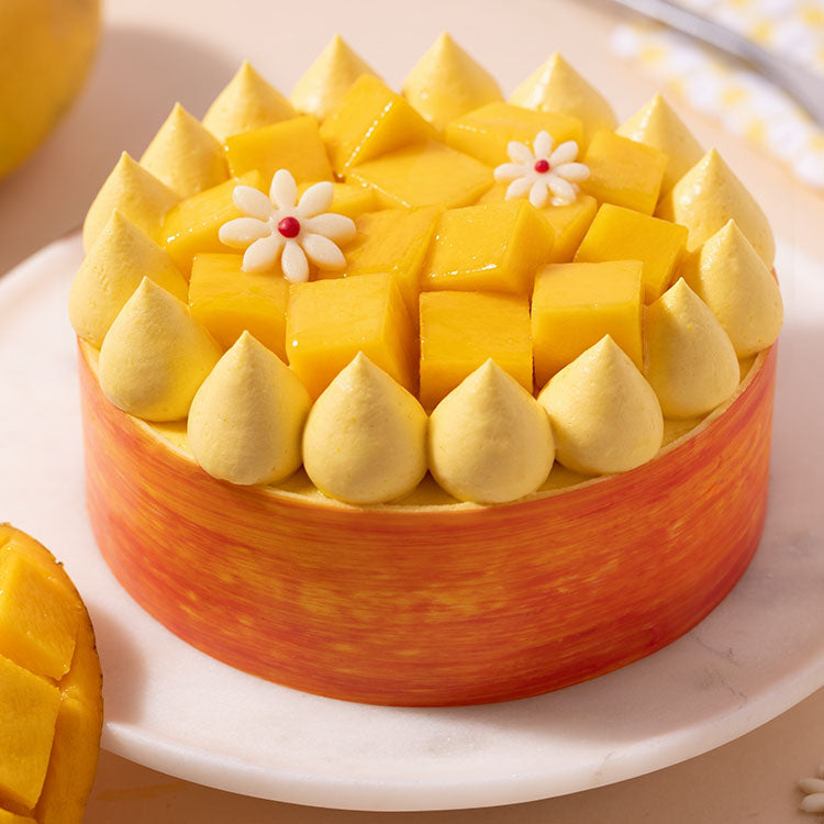 Fresh Mango Cream Cake [530g]
